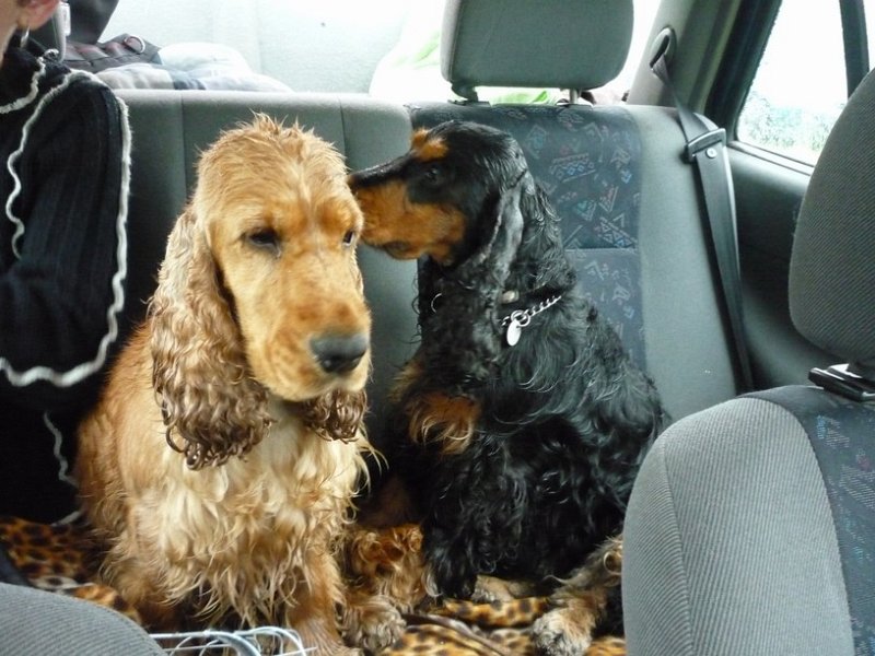 narodka boleslav 110.jpg